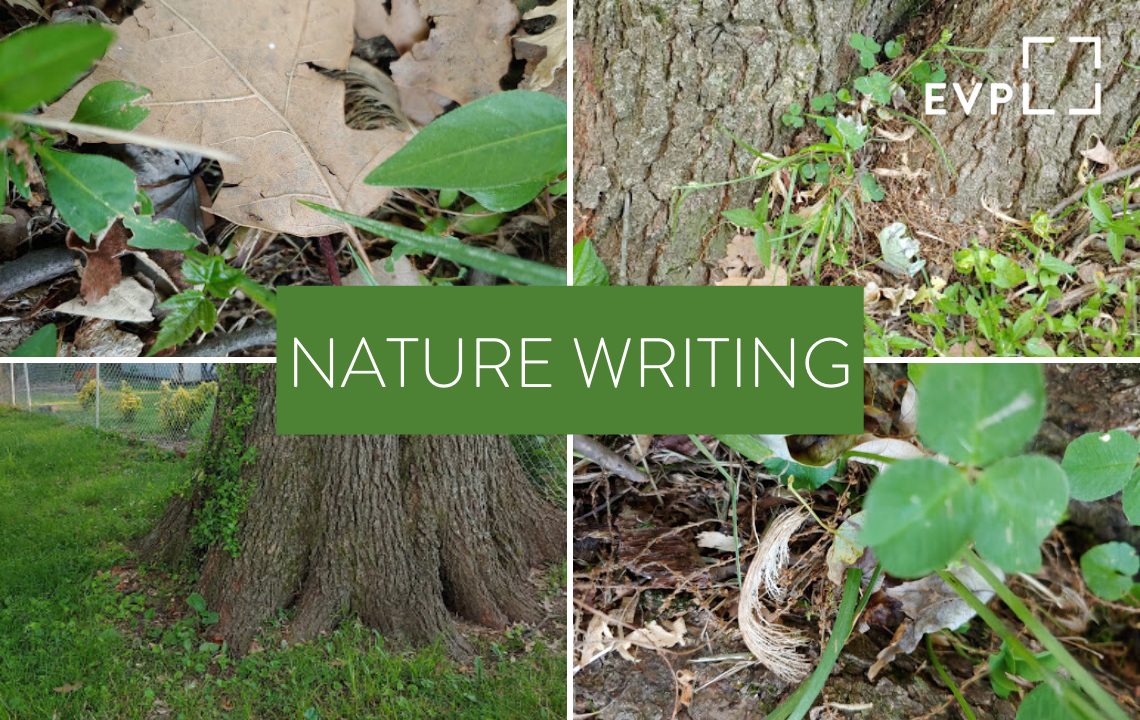 nature creative writing